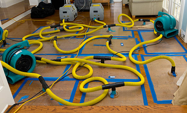 Professional Water Extraction technician working in Sterling, OH